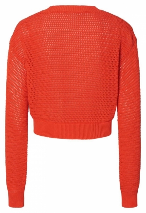 PABLO PULLOVER LS N198 TANGERINE