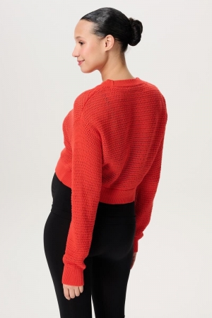 PABLO PULLOVER LS N198 TANGERINE