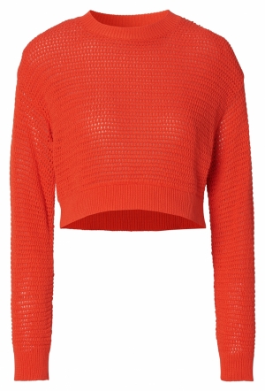 PABLO PULLOVER LS N198 TANGERINE