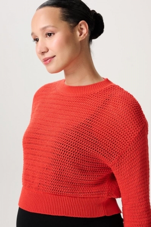 PABLO PULLOVER LS N198 TANGERINE