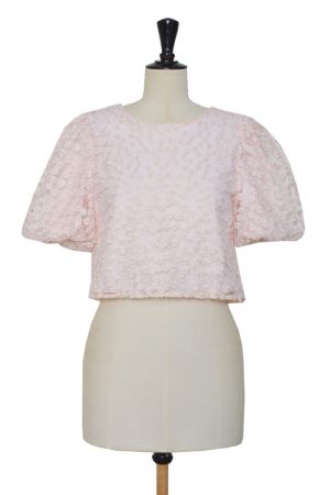 TOP ROSE