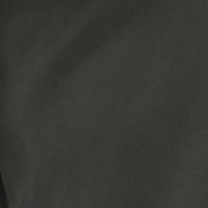 WIDE LEG TENCEL PANT OLIVE
