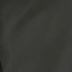 WIDE LEG TENCEL PANT OLIVE